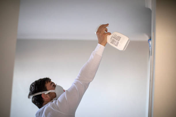Best Office Mold Removal Services  in Abingdon, MD
