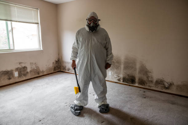 Best Professional Mold Removal  in Abingdon, MD